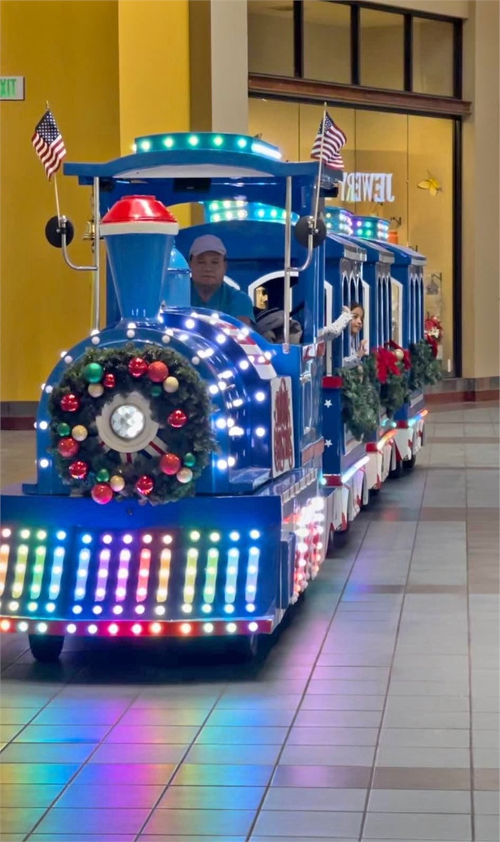 Blue Rents Express / Trackless Train Information